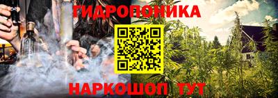 прущие грибы Моздок