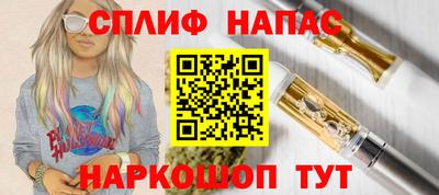 прущие грибы Моздок