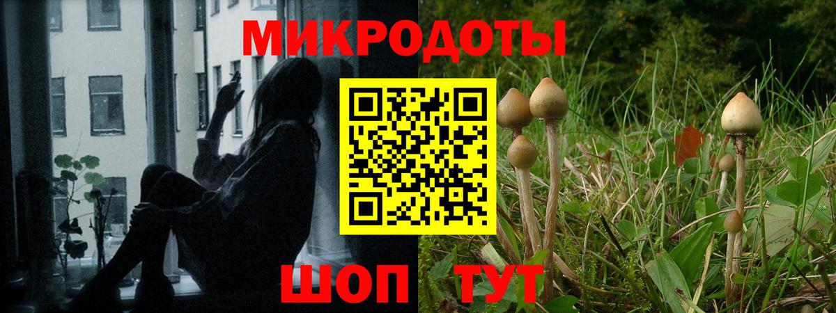 Галлюциногенные грибы MAGIC MUSHROOMS  Галлюциногенные грибы Magic Shrooms  Всеволожск  Вход с VPN 
